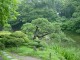 Thumbs/tn_Dsc01612.jpg