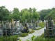 Thumbs/tn_Dsc01629.jpg