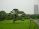 Thumbs/tn_Dsc01644.jpg