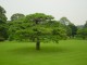 Thumbs/tn_Dsc01646.jpg